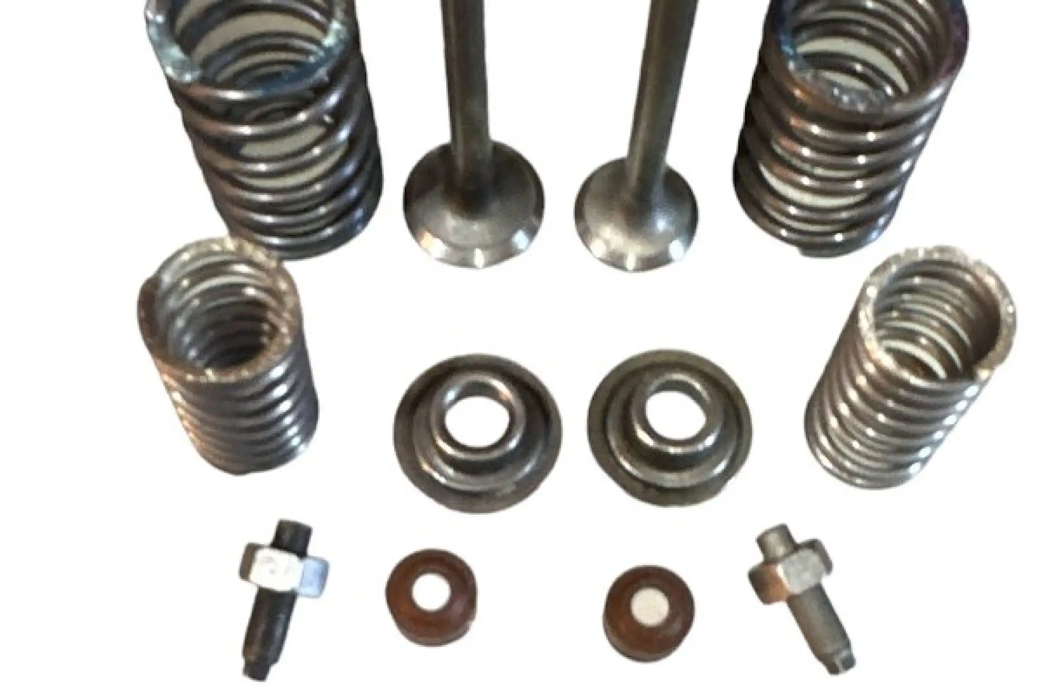 Клапаны (пара, в сборе) Delta 70 OLN