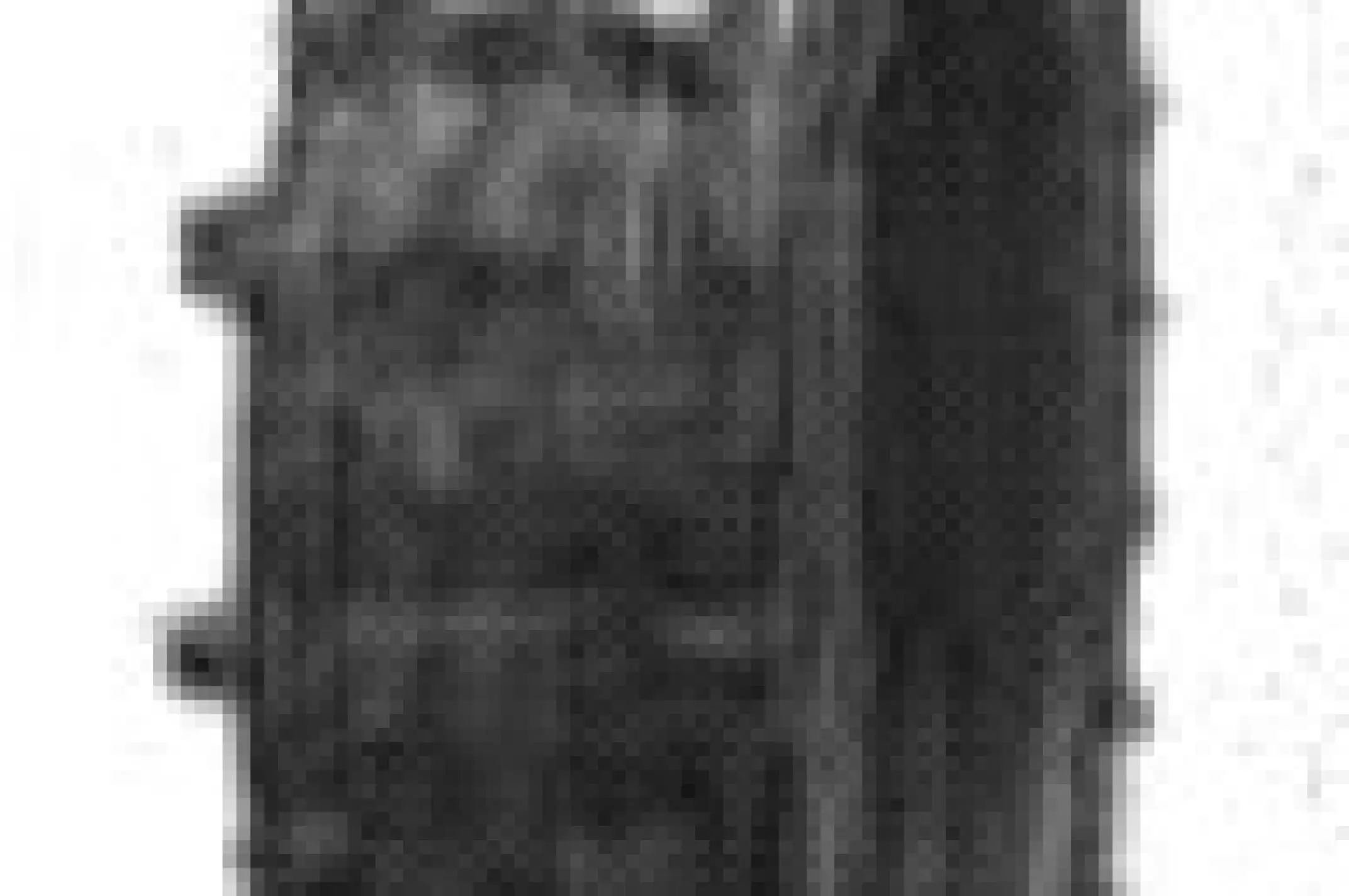 Мотошина 2,75 -10 TT MTS-001 MTS