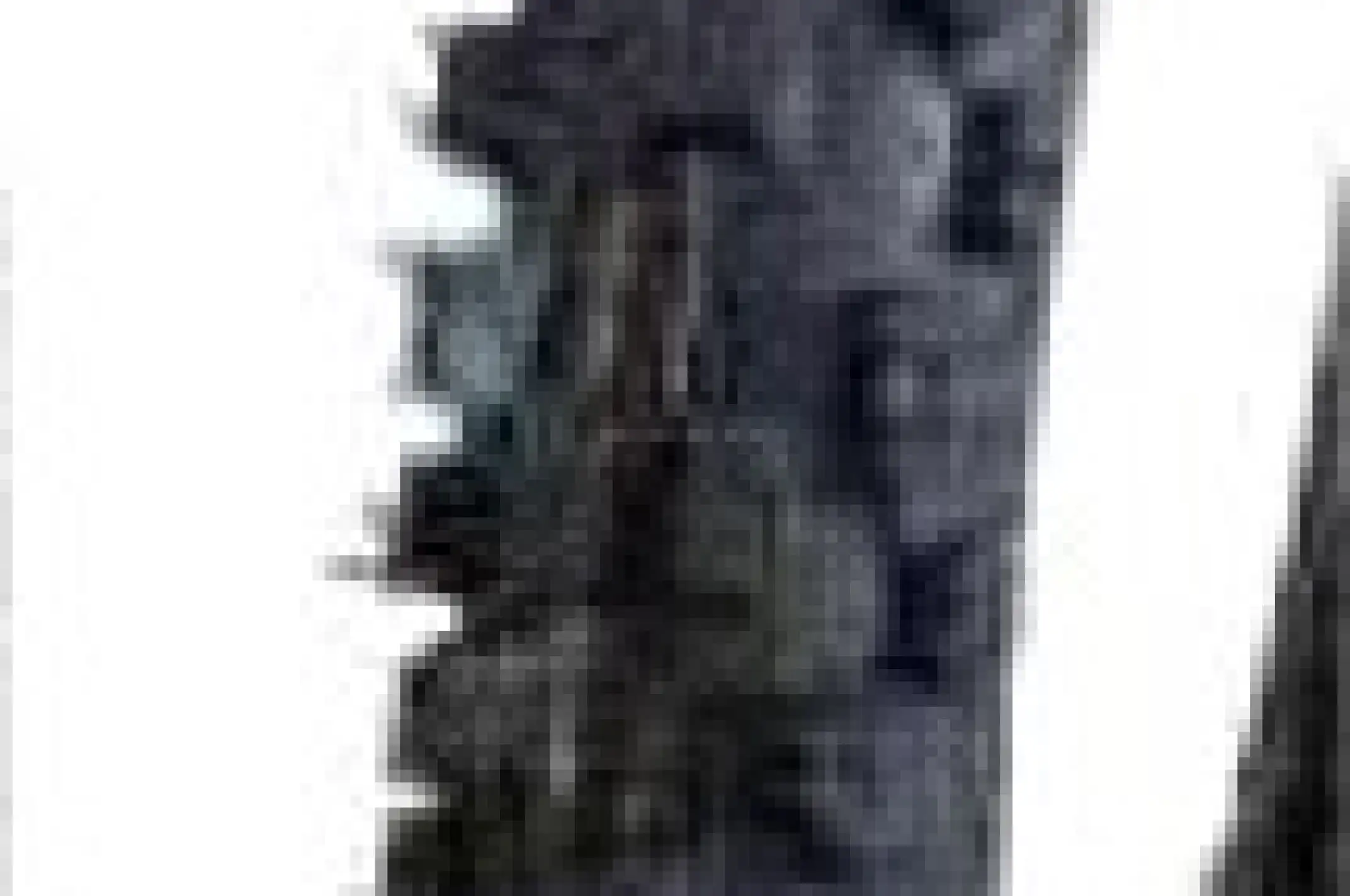 Мотошина 70/100 -19 TT MTS-004 MTS