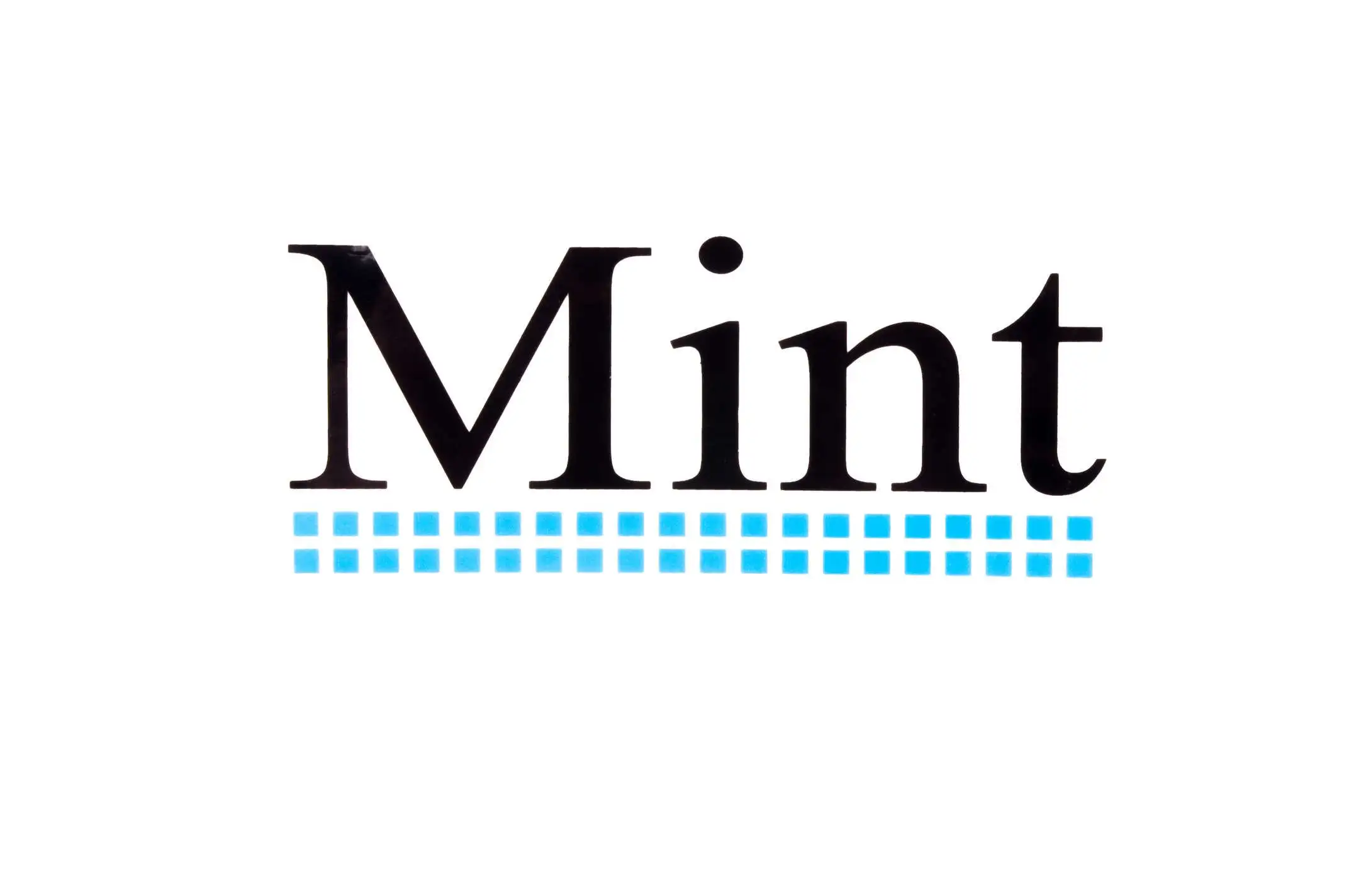 Наклейки (набор) MINT (13х5.5см) (#1264)