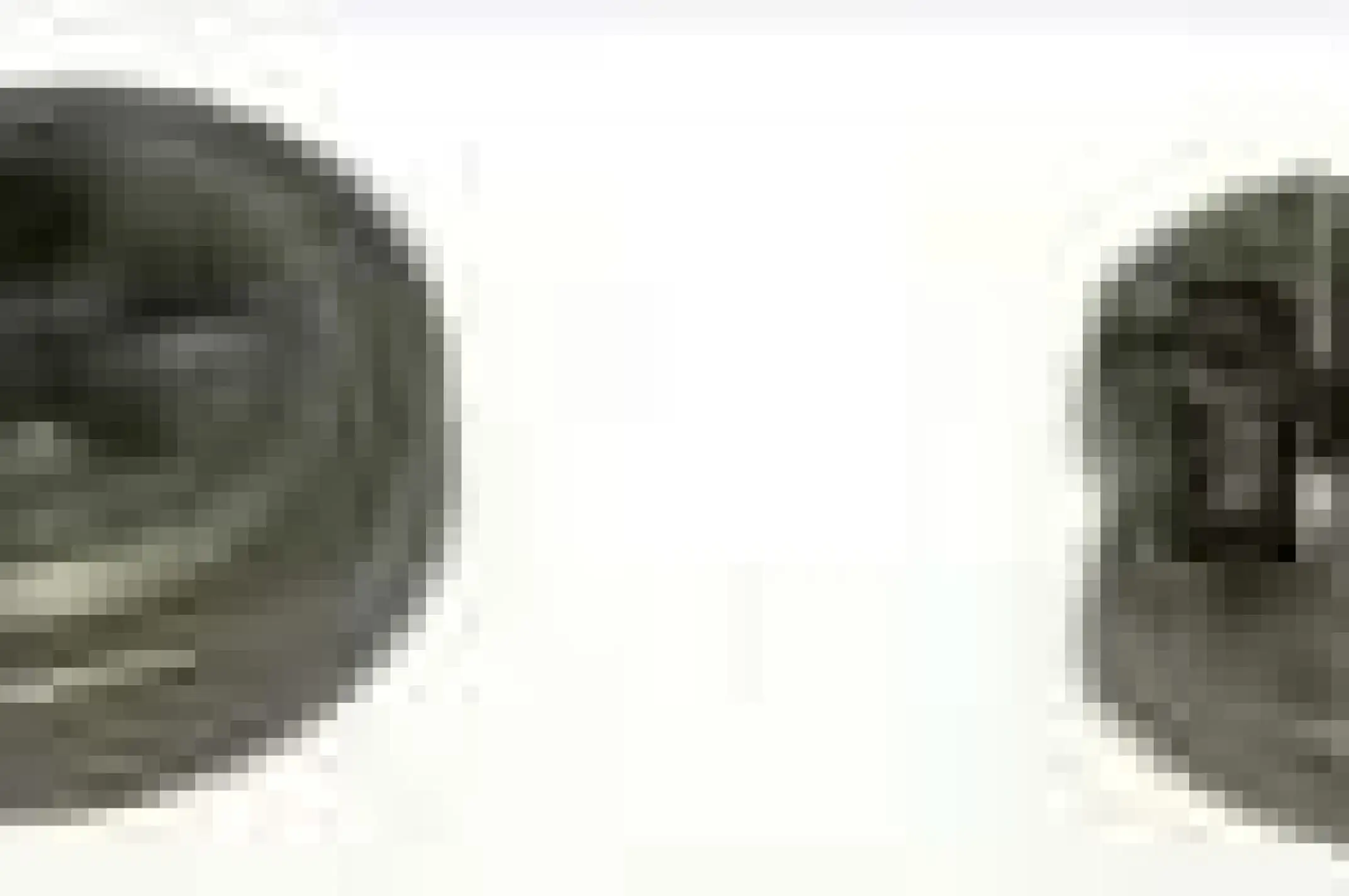 Сцепление (в сборе) б/п   для Goodluck GL2500 3/8 6т цельная SVET