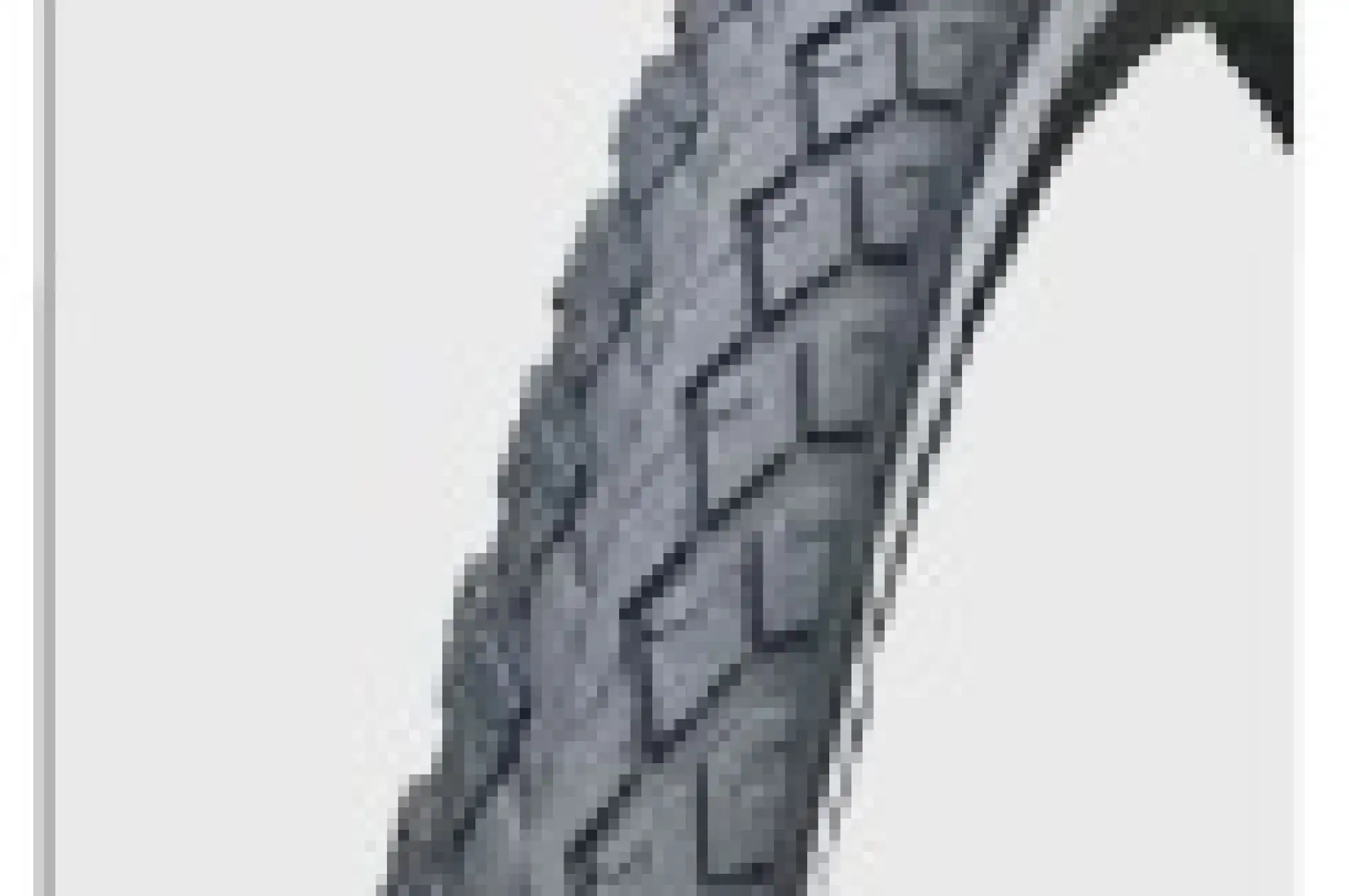 Велосипедная шина   24 * 1 3/8 (540 - 37) чёрная    H-459 коготь Chao Yang LTK-10