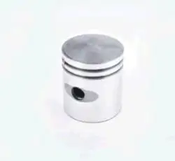 Поршень б/п   ДРУЖБА   (Ø48,00)   EVO
