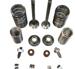 Клапаны (пара, в сборе) Delta 70 OLN