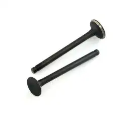 Клапаны (пара, голые)   4T GY6 80   (L-69,4mm)   MANLE
