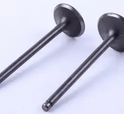 Клапаны (пара, голые) 4T CG200 (ZB) AMG