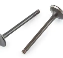 Клапаны (пара, голые)   Delta 70   (L-66mm)   KOMATCU   (mod.A)