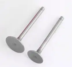 Клапаны   (пара, голые)  м/б  186F  (9Hp)   BEST