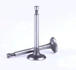 Клапаны   (пара, голые)  м/б  156F   (4Hp)   UG