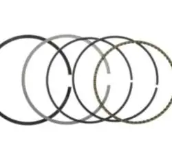Кольца   4T GY6 50   0,50   (Ø39,50)   (SEE)   EVO