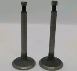 Клапаны (пара, голые) м/б 168F/170F (6,5/7Hp) TD
