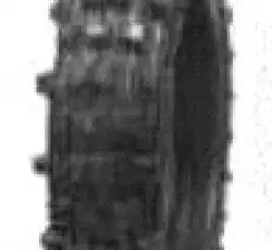 Мотошина 2,75 -10 TT MTS-001 MTS