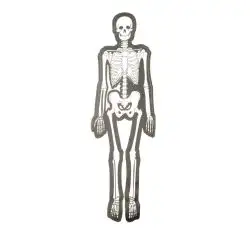 Наклейка декор SKELETON (29х10см) (#0072B)