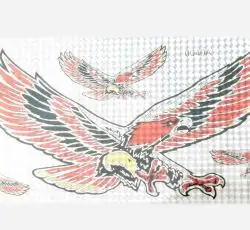 Наклейки (набор) EAGLE (36х18см) (#0040A)