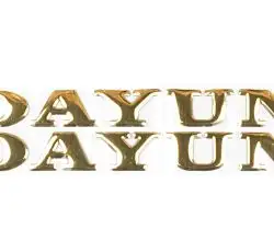 Наклейка   буквы   DAYUN   (19х4см, 2шт, золотые)   (#DYN)
