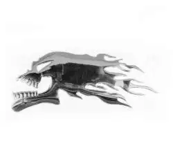 Наклейка шильдик FIRESKULL (14x5см, алюминий, хром) (#4744)