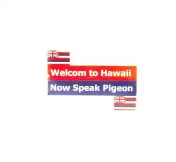 Наклейка   на номер   WELCOM TO HAWAII   (8x8см)