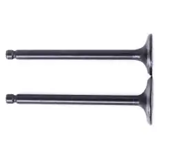 Клапаны (пара, голые) Alpha125 AMG