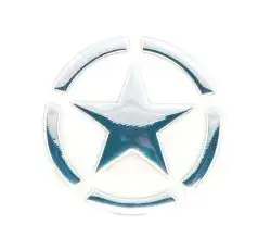 Наклейка   STAR  (10х13см)
