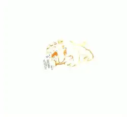 Наклейка   декор   DOG   (12x9cм, красная, левая)   (#HQ007RL)