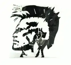 Наклейка   декор   PUNK HEAD   (_х_см)