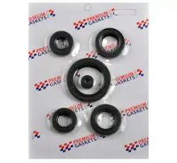 Сальники (набор) Zonghsen, Lifan 125/150 (OHV) (полный) PREMIUM GASKETS