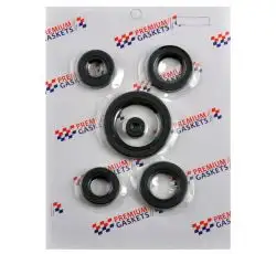 Сальники (набор)   4T CG200   (полный)   PREMIUM GASKETS