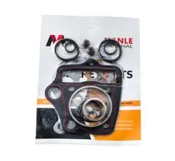 Прокладки цилиндра (набор) Active 110 Ø52,50mm, 152FMH MANLE