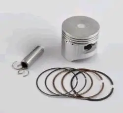 Поршень   Delta 100   1,00   (Ø51,00)   (SEE)   EVO