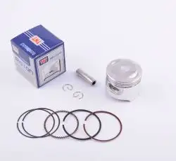 Поршень   Delta 90   .STD  (Ø47,00, 1P47FMF-B)   TNT