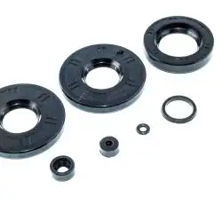 Сальники (набор) ЯВА 6V EVO