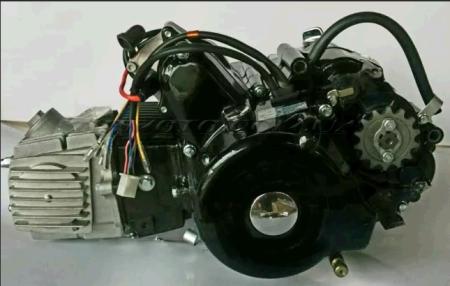 Двигатель   Delta, Activ 110cc   (АКПП 152FMH)   (чёрный)   EVO - 58618